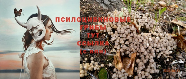 PSILOCYBIN Арсеньев