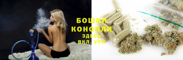 PSILOCYBIN Арсеньев