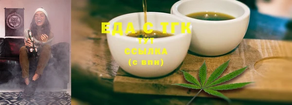 индика Алексин