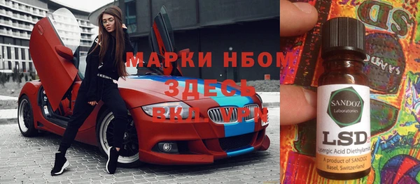 индика Алексин
