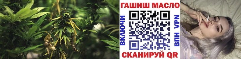 Дистиллят ТГК THC oil  OMG как войти  Белорецк  где купить наркоту 